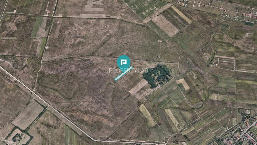 Teren extravilan de 10.000 mp - 4