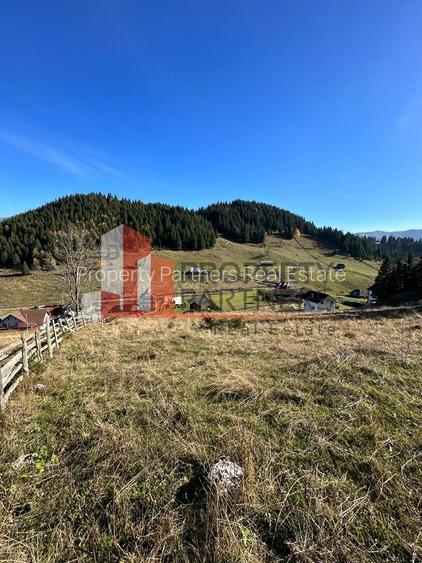 Teren Fundatica intravilan 4500 mp - 9