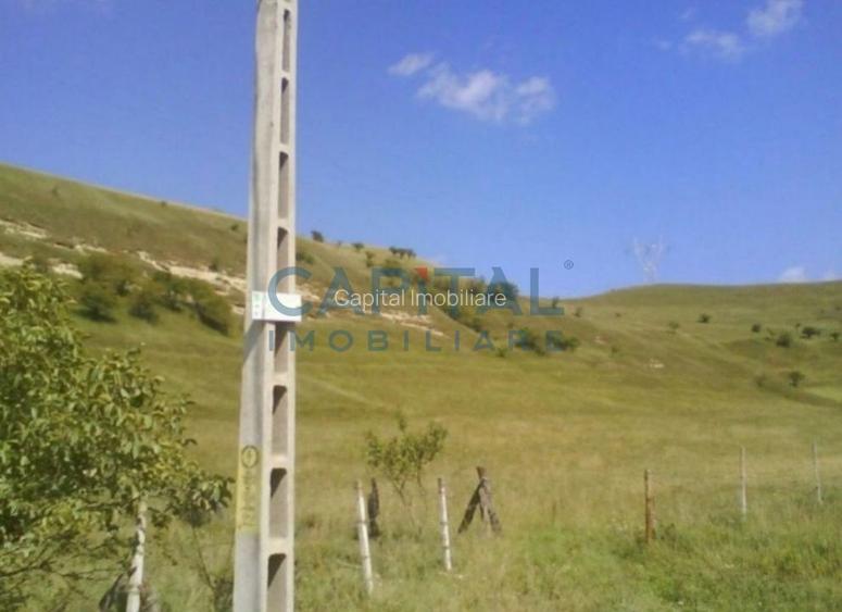 Teren intravilan 9800 mp Mures - 5