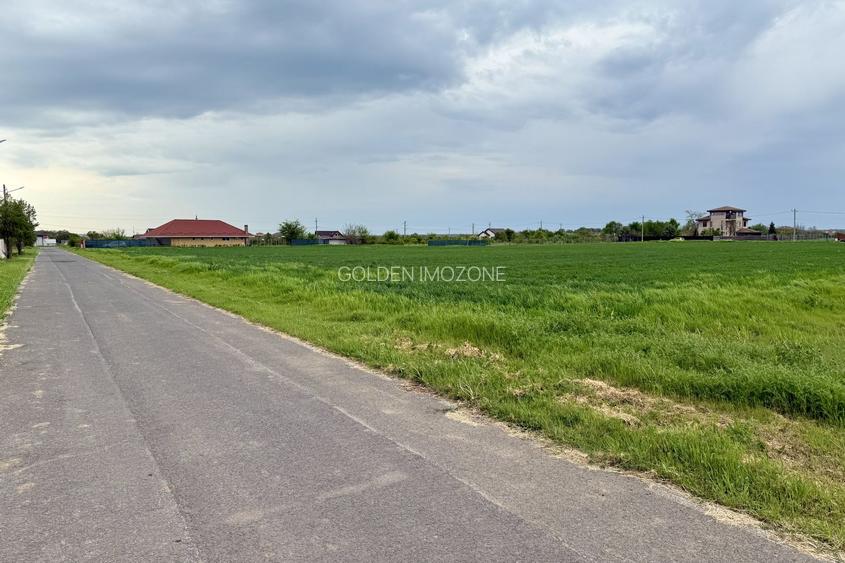Teren intravilan de 1000 mp în Grădiștea, Ilfov – ideal pentru casa ta - 3