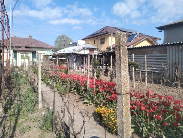 Casa  la curte Oltenita - 3