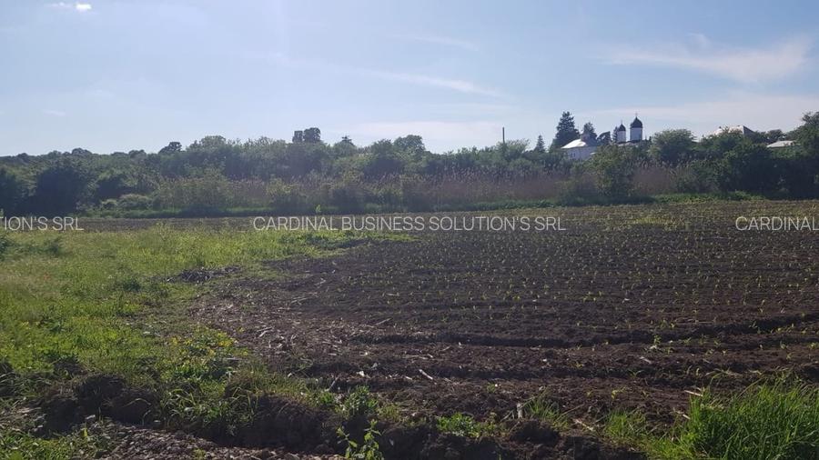 Ciolpani- Drumul Piscului patru loturi teren de la 896 mp pana la 977 mp - 2