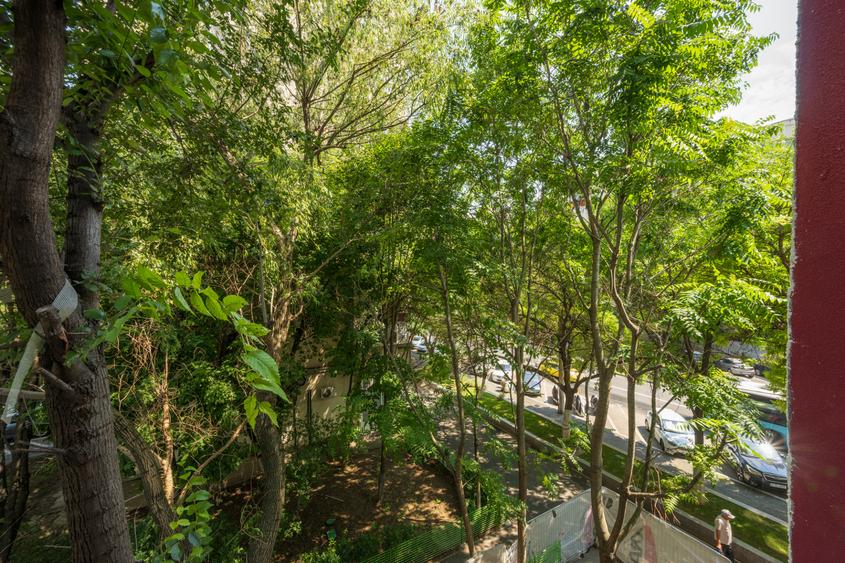 Apartament 2 camere Brancoveanu, stradal, bloc reabilitat