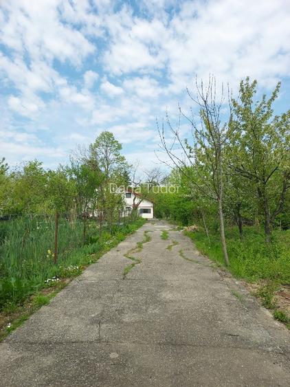 VILA 21 SNAGOV, 30 m DESCHIDERE LA LAC  - 6