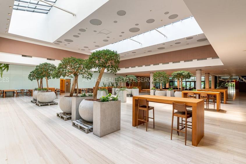 BIROURI CLASA A NORD - 3