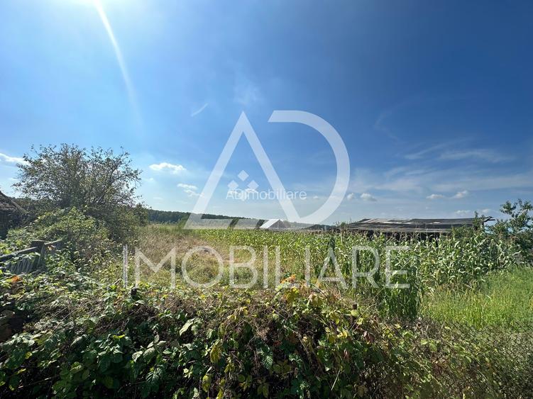 Teren situat în Drăguțești, sat Urechești - 7