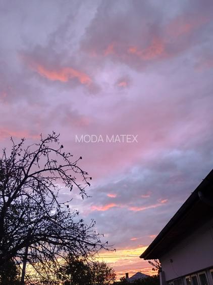 Singureni Stejaru casa intre paduri, cu teren 1600mp - 17