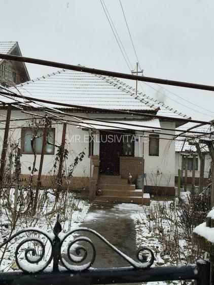 Proprietate rară – 2 case + livadă, vie și teren generos, la 20 km de Târgu Jiu - 3