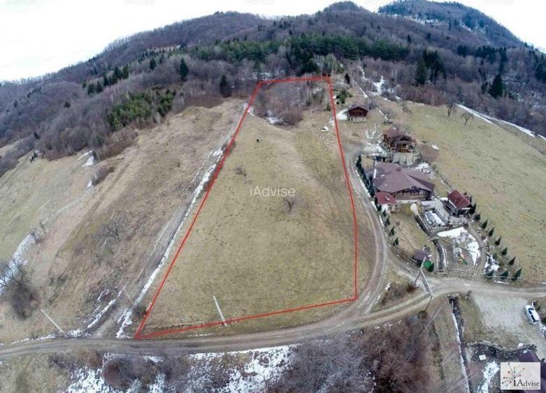 Teren Intravilan Rasnov Zona Glajarie Pozitie Deosebita - 6