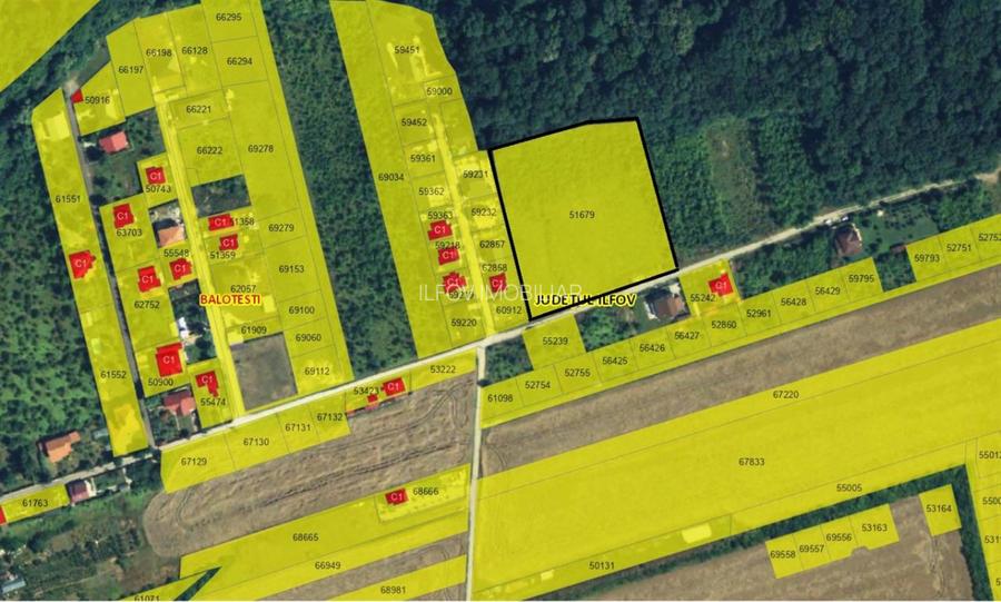 Teren intravilan Balotesti 9782mp 96ml deschidere langa padure - 6