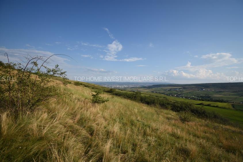 Oportunitate de investitie! Teren extravilan Chinteni! - 6