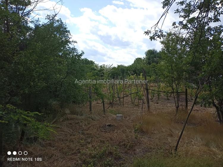 Casa batraneasca 2 camere,  Harsesti, teren 1.865mp - 15
