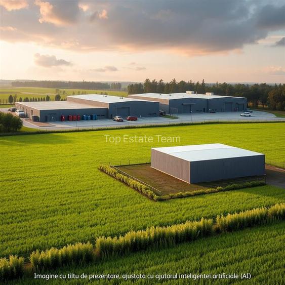 Teren 34.000 mp Giulesti - ideal pentru dezvoltare - 4