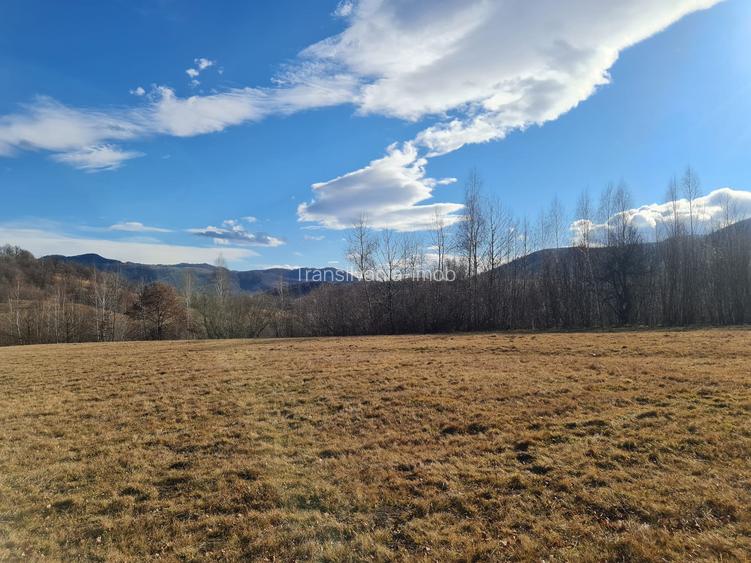 Teren Sinca Noua pretabil investitie 2.7 euro/mp - 3