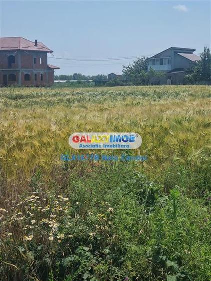 VANZARE TEREN INTRAVILAN 10000 MP  COMUNA BERCENI - 2