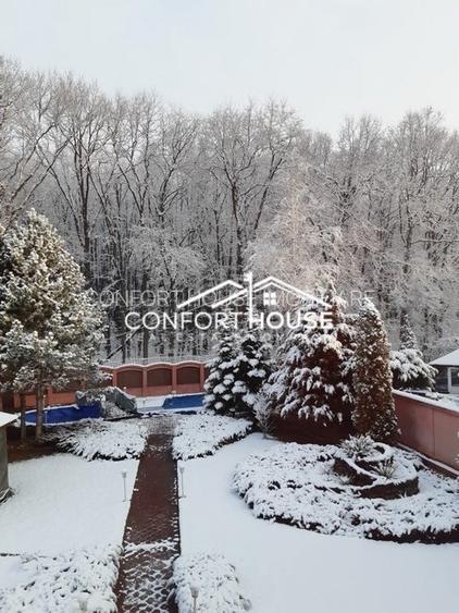 VILA D+P+E+M, 12 camere, piscina , padure, IANCU NICOLAE - 38