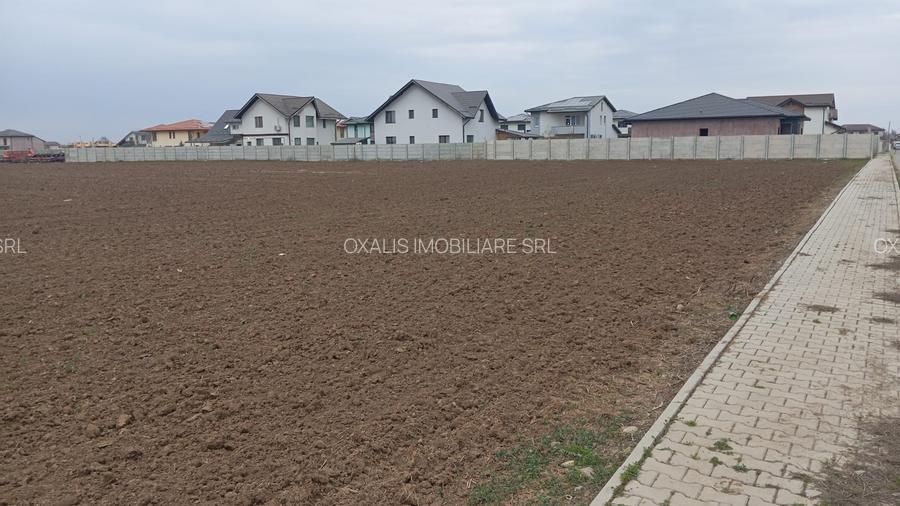 Teren de  vanzare Dragomiresti Deal - 2