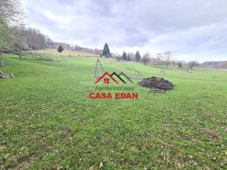 Teren extravilan Valea Doftanei 20.500 mp 6e mp - 2