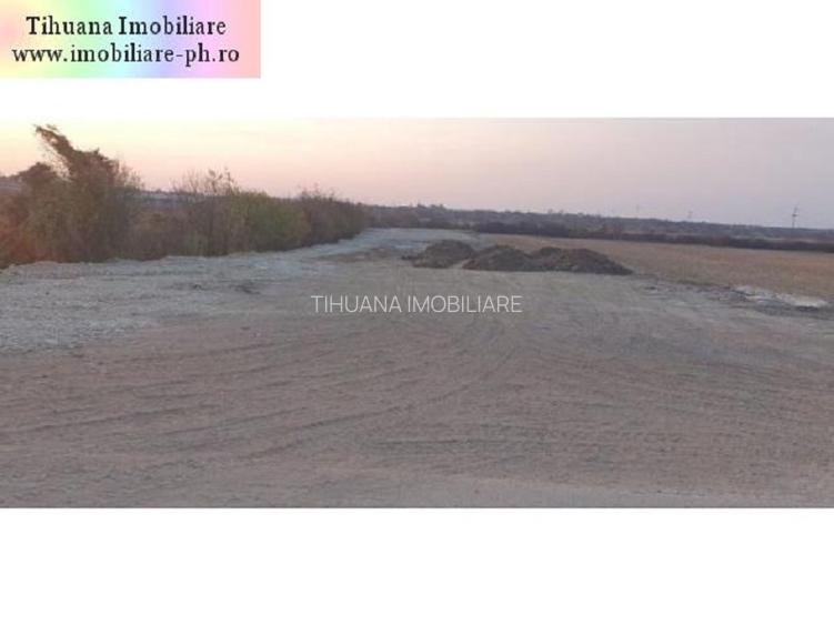 Teren de vanzare - Bucov - 3