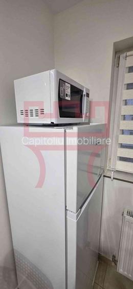 Prima inchiriare apartament renovat 1 camera Calea Turzii Panemar - 15