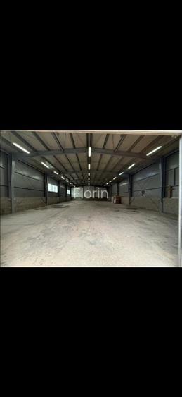 Hală de închiriat în Giroc – 485 mp + birou + curte - 3