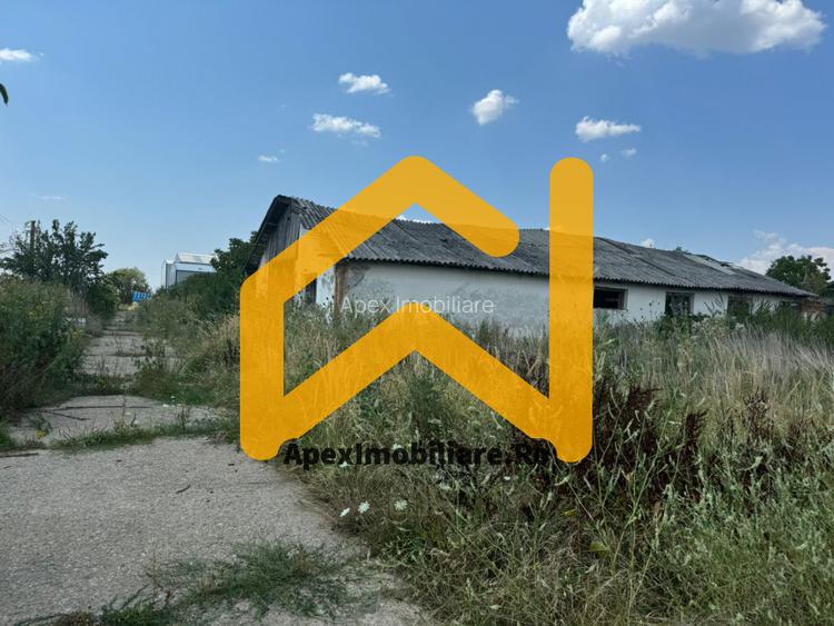 Hale Industriale de Vânzare Baicoi – 1100 mp + 800 mp, teren 5500 mp - 8