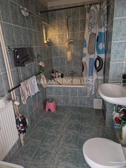 COLENTINA - D-NA GHICA, VAV DE PARCUL PLUMBUITA, - 10