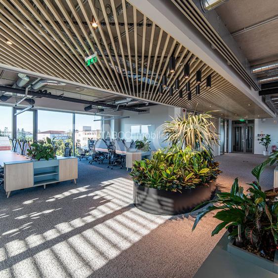 Birouri premium in Sibiu–Spatii flexibile moderne pentru companii - 2