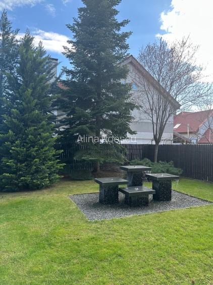 Închiriez Vilǎ Spații de Birouri pe Iancu Nicolae, 338mp, 4 locuri de parcare - 6