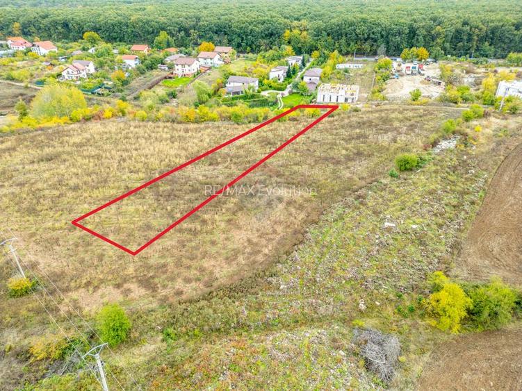 Teren 3000 mp în Snagov – zonă in dezvoltare, aproape de pădure - 12