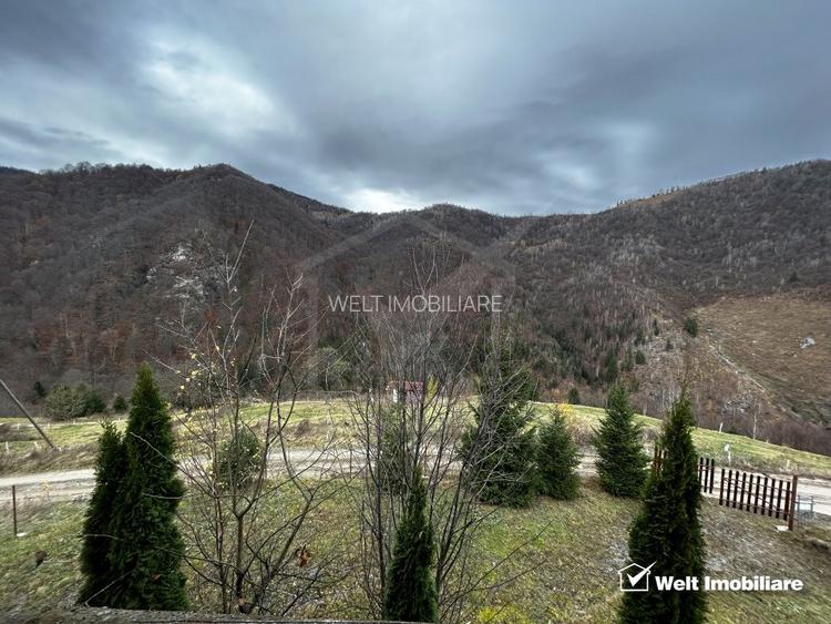 Oportunitate unica! 5ha + 2 cabane de vacanta in Valea Ierii - 16