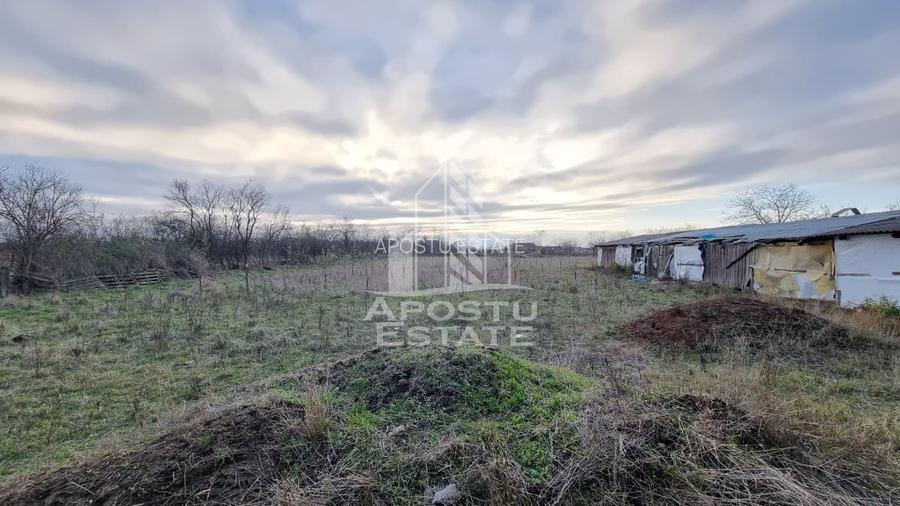 Casa individuala la rosu cu teren generos, Seceani - 14