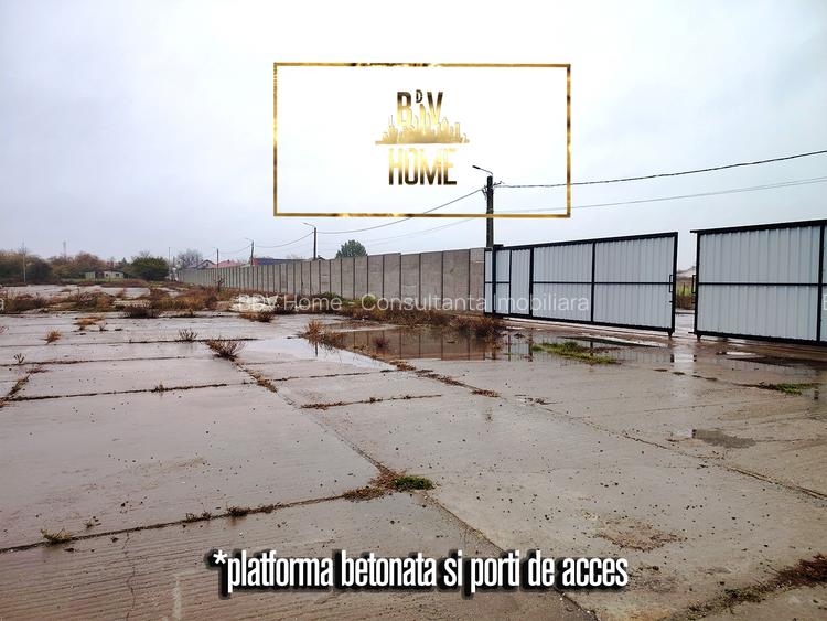 Teren 8000 mp, INTRAVILAN CC, Valu lui Traian, vanzare - 4