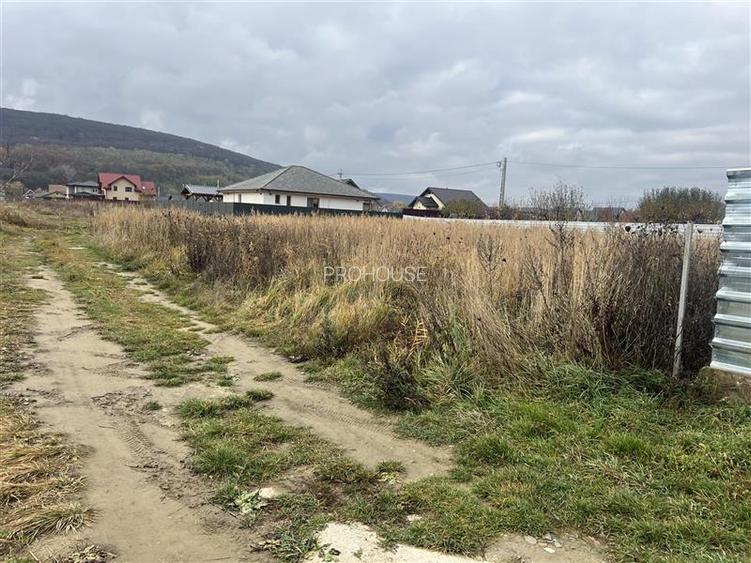 Hemeius- teren 500 mp- 18 ml deschidere! - 4