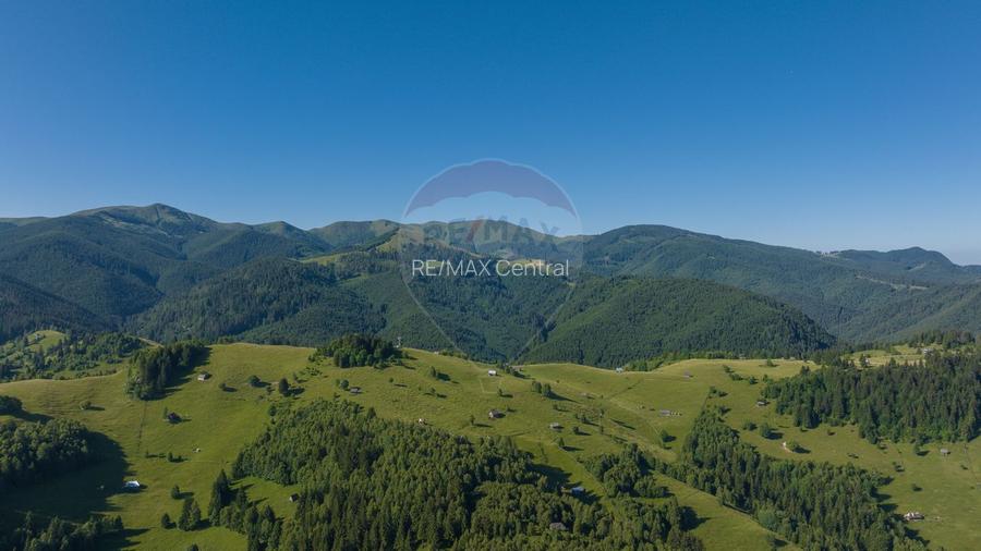 Casă de vacanta, in inima naturii, comision zero pt cumparator - 5