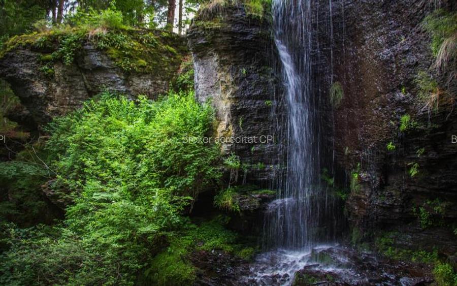 Teren intravilan si padure de brad 34.000 mp Varsag, Harghita - 4