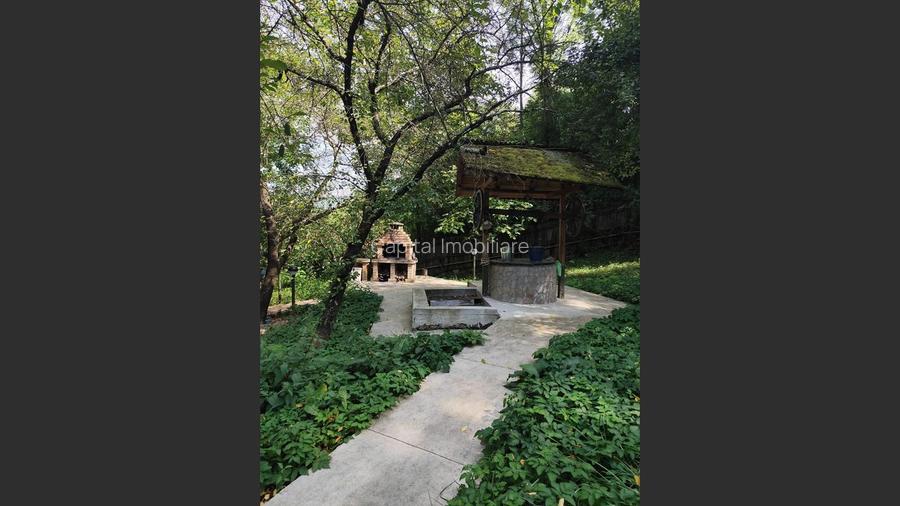 Vila superba 7 camere, Provita de Jos, 22.000 mp teren - 22