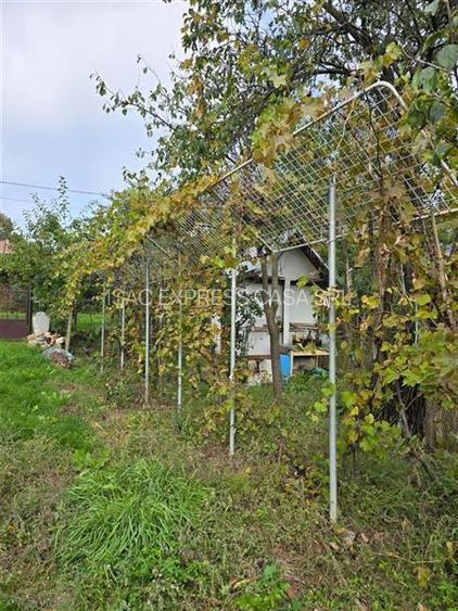 Casa locuibila de vanzare (3 camere, baie, bucatarie, teren) la 28 km de Iasi - 17