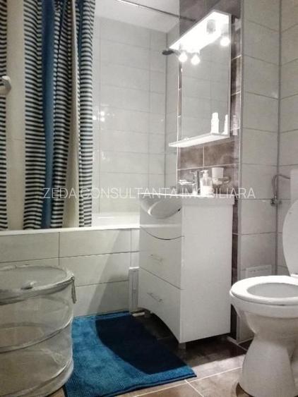 Dristor - Rm. Valcea - 5