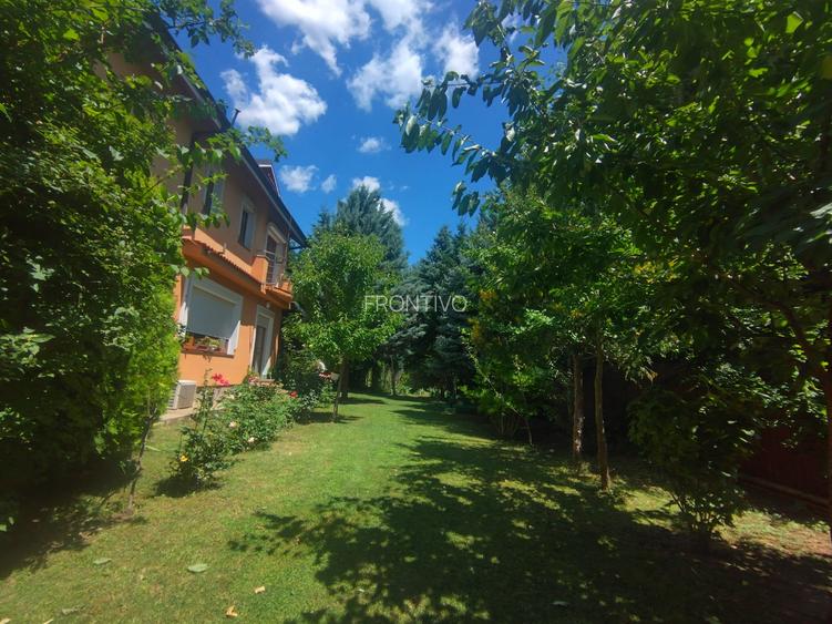 Vila de vanzare in Snagov in vecinatatea padurii - 2