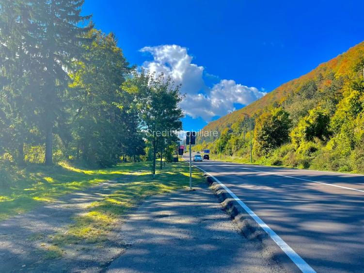 Teren Brasov-DN1 5200MP! - 2