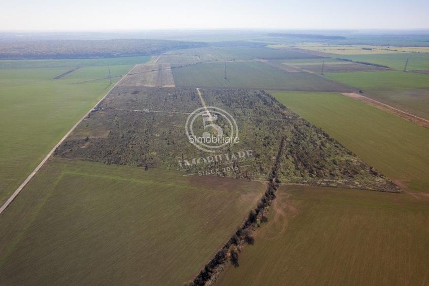 Ocazie- Teren Intravilan de Vanzare- Peris Snagov- Doar 10 euro/mp - 7