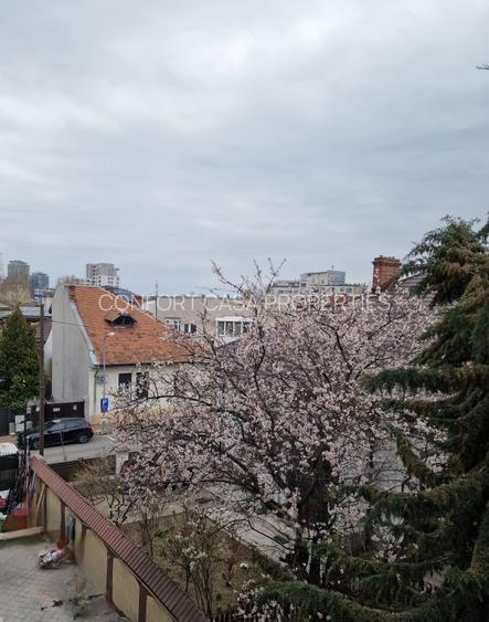 Timpuri Noi metrou, Splaiul Unirii , Vila P+2+M, NEMOBILATA, pretabila BIROURI - 7