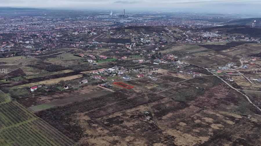 Teren Intravilan, Nicolae Beldiceanu - 4