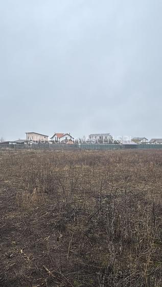 Teren Intravilan de vanzare - 2