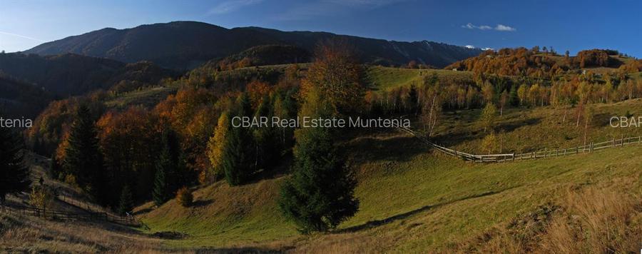 Vand teren Arges in  Dambovicioara 12 150 mp vedere Piatra Craiului - 4