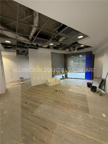 Parc Carol -Spatiu Comercial 237 mp-vanzare sau inchiriere - 11