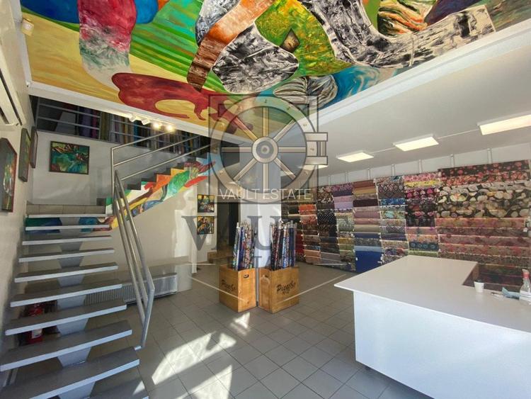 SPATIU STRADAL 567 MP - VAD COMERCIAL - PACHE PROTOPOPESCU - 4