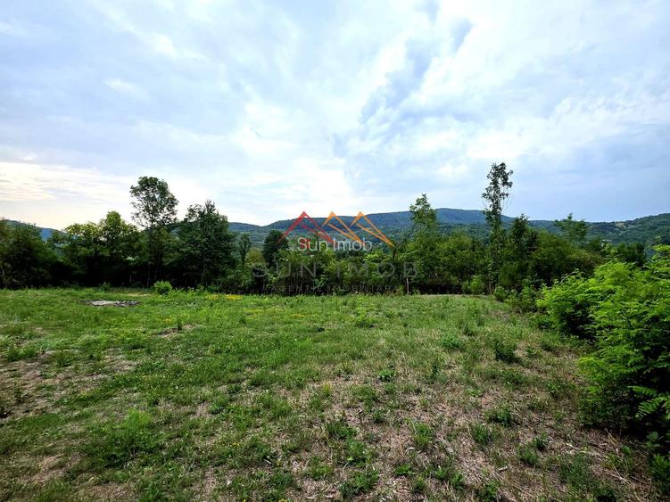 Teren Intravilan, utilitati in zona, 2600 mp, Draganeasa, Prahova - 3