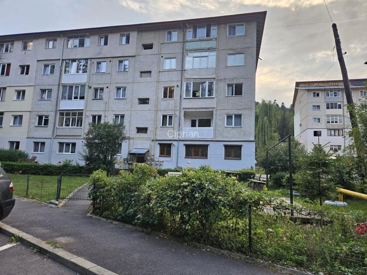 Apartament 2 cam Platou Izvor - 7